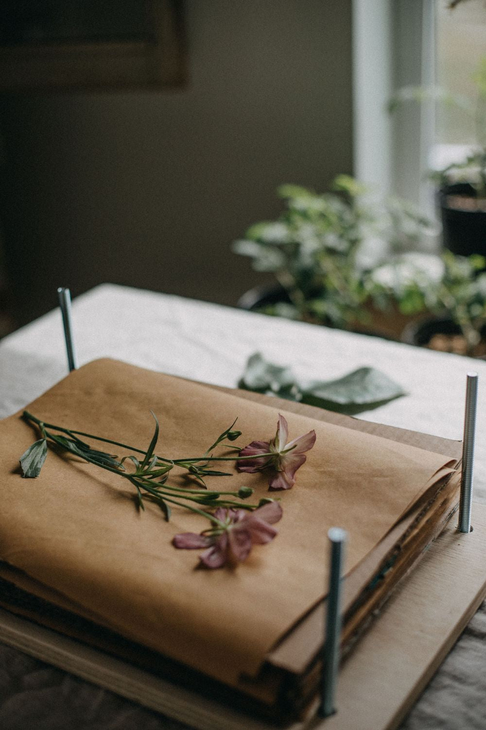 DIY Floral Press Kit
