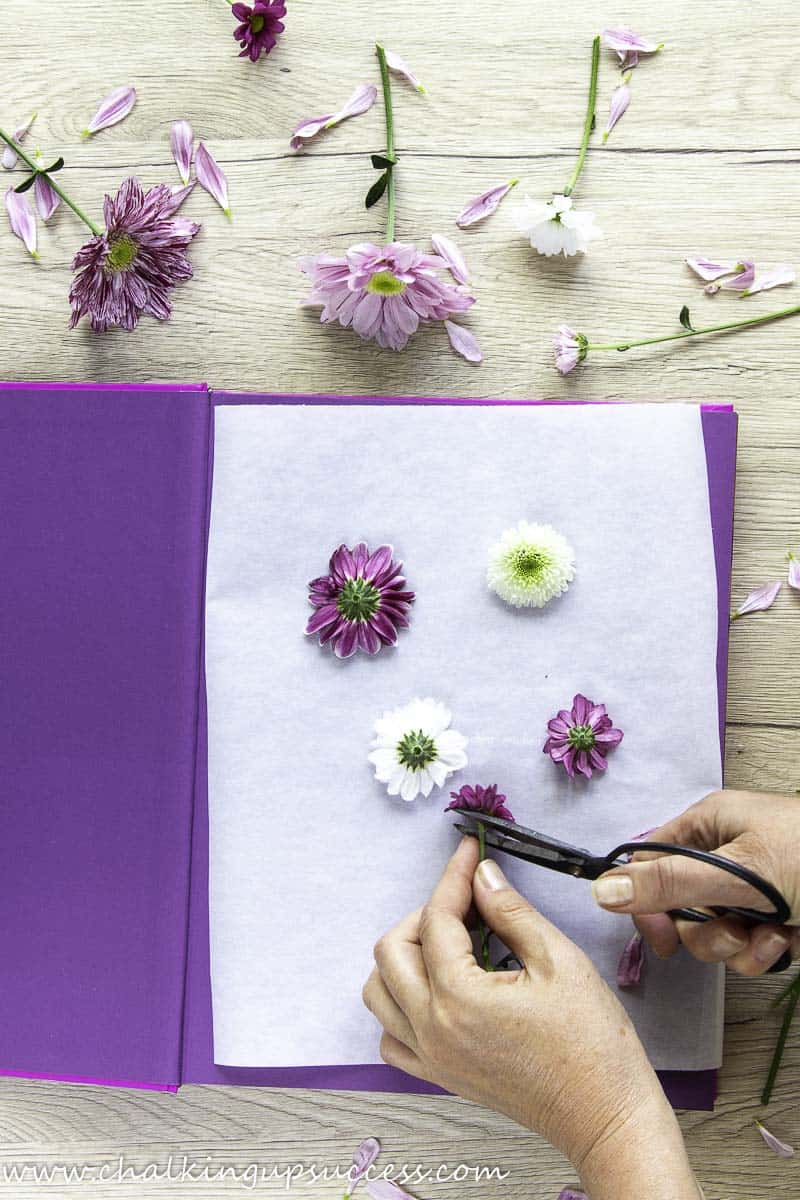 DIY Floral Press Kit
