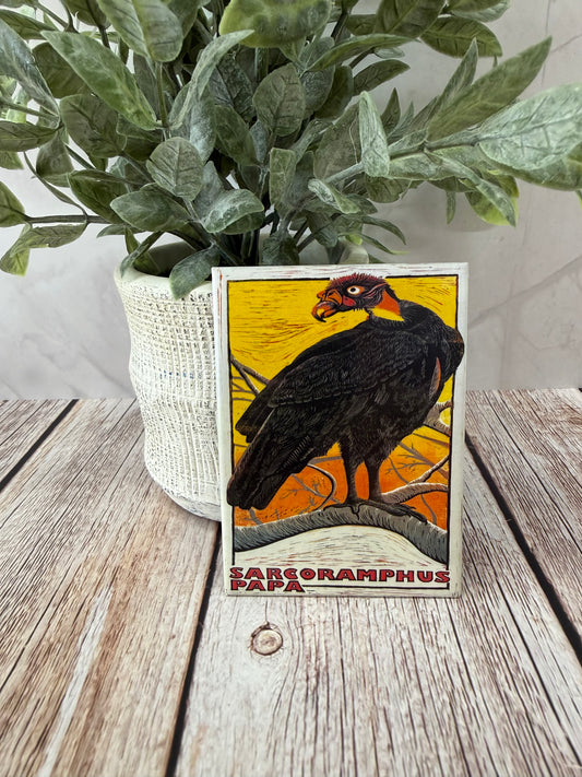 Vulture Magnet