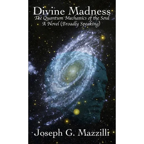 Divine Madness: The Quantum Mechanics of the Soul, A Novel (Broadly Speaking)