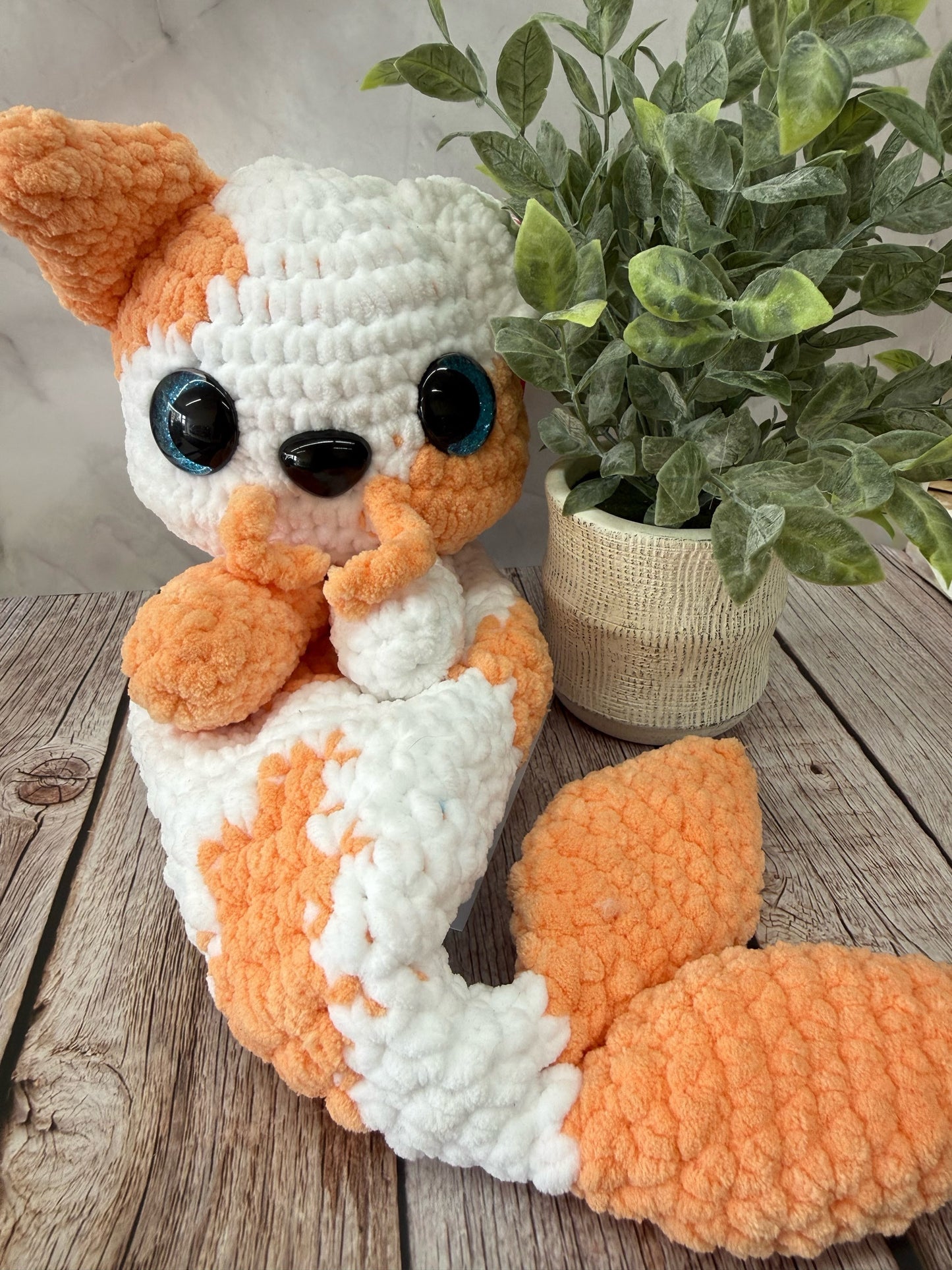 Koi Cat