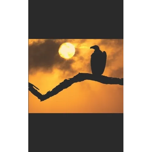 Through the Eyes of a Vulture
