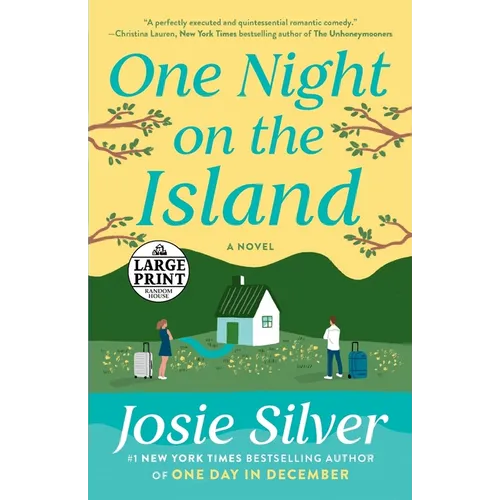 One Night on the Island