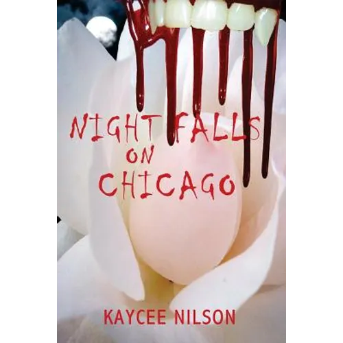 Night Falls on Chicago