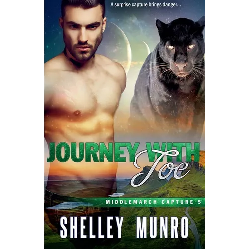 Journey With Joe